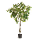 NAPA Home & Garden, GRAND FICUS TREE DROP-IN 8',N2CC12