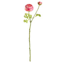 Ranunculus Stem 21"