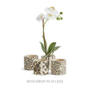 NAPA Home & Garden, FIONA & ASTRA COLLECTION
