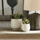 NAPA Home & Garden, ASTRA POTS, SET OF 2,N2HR09