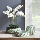 NAPA Home & Garden Ondulata Cachepot Collection