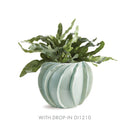 NAPA Home & Garden Ondulata Cachepot Collection