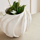 NAPA Home & Garden Ondulata Cachepot Collection