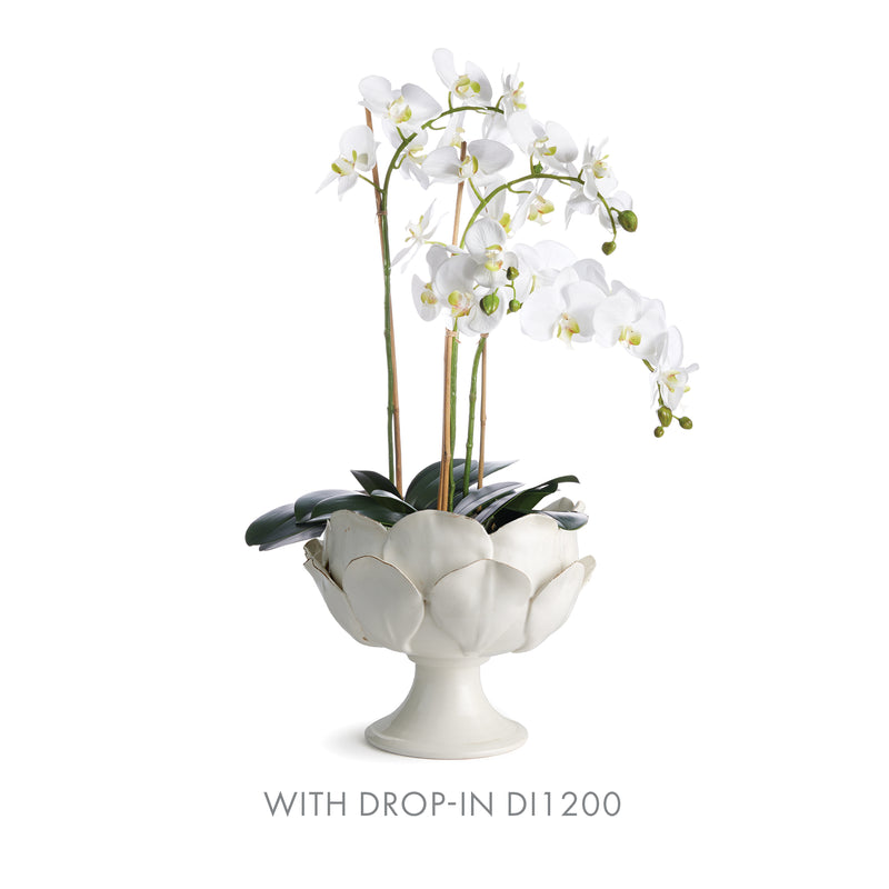 NAPA Home & Garden, DI ROSA FOOTED DECORATIVE BOWL,N2MG24WH