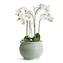 NAPA Home & Garden, GRAFFIO GRANDE CACHEPOT,N2MP06BLL