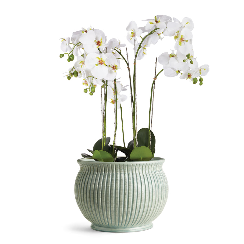 NAPA Home & Garden, GRAFFIO GRANDE CACHEPOT,N2MP06BLL