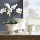 NAPA Home & Garden, LINEA & COLETTA DECORATIVE COLLECTION