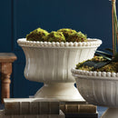 NAPA Home & Garden, COLETTA Decorative Footed Bowl