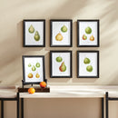 NAPA Home & Garden, PEAR STUDY, SET OF 6,N2NH02