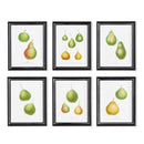 NAPA Home & Garden, PEAR STUDY, SET OF 6,N2NH02