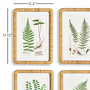 NAPA Home & Garden, FOREST FERN PRINTS, SET OF 4,N2NH15