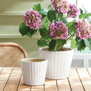 NAPA Home & Garden, VIVI POTS, SET OF 2,N2SR03