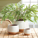 NAPA Home & Garden, DRU POTS, SET OF 3,N2SR08