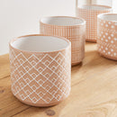 NAPA Home & Garden, CHASE POTS, SET OF 4,N2YG11BR