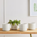 NAPA Home & Garden, Chase Pots Collection