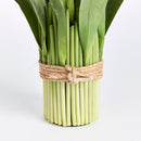 NAPA Home & Garden, Peony Tulip Drop-In Bundle