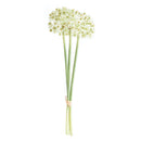 NAPA Home & Garden, Allium Stems, Bundle of 3