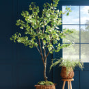 NAPA Home & Garden, GINKGO TREE DROP-IN 8',N3CC29