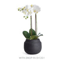 NAPA Home & Garden, GEENA CACHEPOT,N3DG15BK