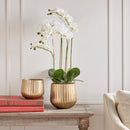 NAPA Home & Garden, CLARISSA CACHEPOTS, SET OF 2,N3DK30