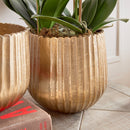 NAPA Home & Garden, CLARISSA CACHEPOTS, SET OF 2,N3DK30