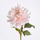 NAPA Home & Garden, CHRYSANTHEMUM STEM