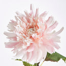 NAPA Home & Garden, CHRYSANTHEMUM STEM
