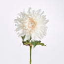 NAPA Home & Garden, CHRYSANTHEMUM STEM