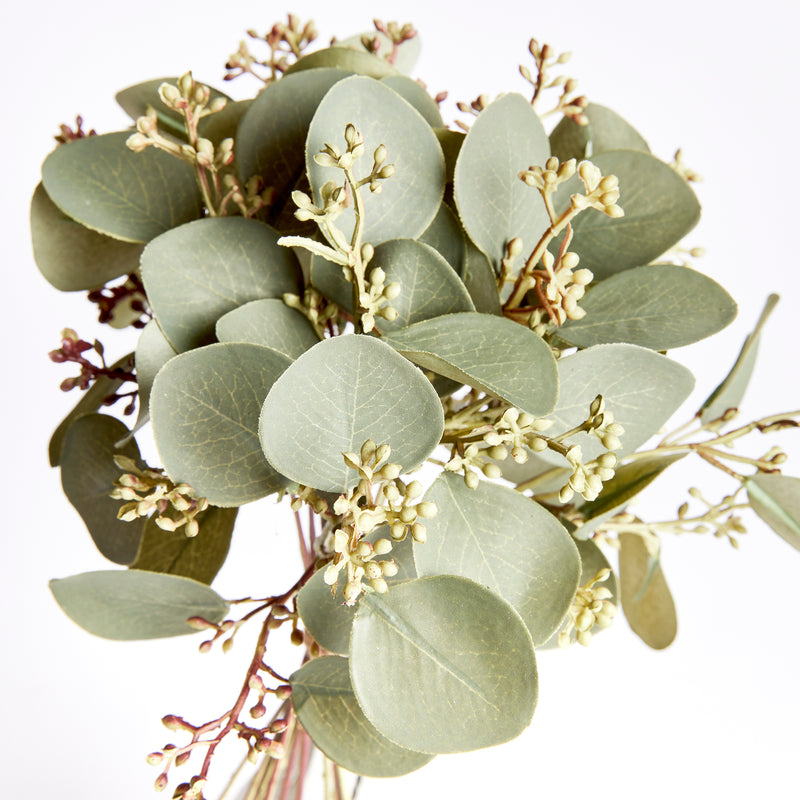 NAPA Home & Garden, SILVER DOLLAR EUCALYPTUS CUTTINGS, BUNDLE OF 12,N3GP13