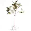 NAPA Home & Garden, EUCALYPTUS SEED STEM 41",N3GP14