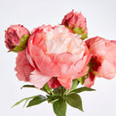 NAPA Home & Garden, Peonies Bundle