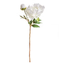 NAPA Home & Garden, PEONY STEM Collection
