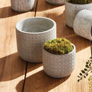 NAPA Home & Garden, TIKO POTS, SET OF 2,N3HD02