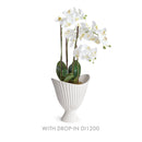 NAPA Home & Garden Decorative Vases and Bowls Collection