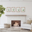 NAPA Home & Garden, GARDEN BLOOM PRINTS, SET OF 4,N3NH32