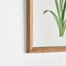 NAPA Home & Garden, GARDEN BLOOM PRINTS, SET OF 4,N3NH32