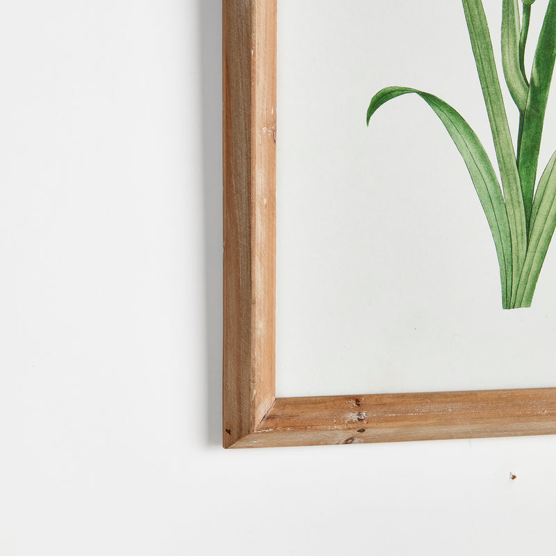 NAPA Home & Garden, GARDEN BLOOM PRINTS, SET OF 4,N3NH32