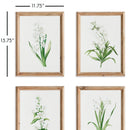 NAPA Home & Garden, GARDEN BLOOM PRINTS, SET OF 4,N3NH32