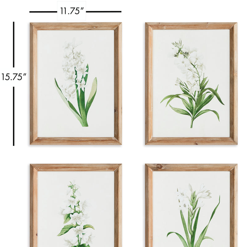 NAPA Home & Garden, GARDEN BLOOM PRINTS, SET OF 4,N3NH32