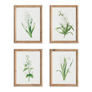 NAPA Home & Garden, GARDEN BLOOM PRINTS, SET OF 4,N3NH32