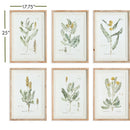 NAPA Home & Garden, MID-SUMMER BLOOMS PRINTS, SET OF 6,N3NH36