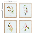 NAPA Home & Garden, PLAYFUL HUMMINGBIRD PRINTS, SET OF 4,N3NH40