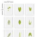 NAPA Home & Garden, GREEN LEAF PETITE PRINTS, SET OF 9,N3NH55