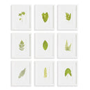NAPA Home & Garden, GREEN LEAF PETITE PRINTS, SET OF 9,N3NH55