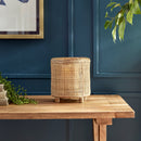 NAPA Home & Garden, RAYA Hurricane Collection