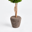 NAPA Home & Garden, BOXWOOD SINGLE SPHERE TOPIARY DROP-IN 16",N3PG02