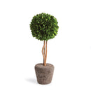 "NAPA Home & Garden, Boxwood Topiary Drop-In Collection"