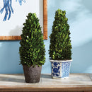 "NAPA Home & Garden, Boxwood Topiary Drop-In Collection"