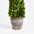 "NAPA Home & Garden, Boxwood Topiary Drop-In Collection"