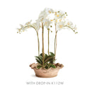 NAPA Home & Garden, WAKEFIELD HANDMADE FESTONEE FORCING POT